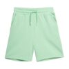 4F Pantaloni sport 'CAS F199'  verde deschis