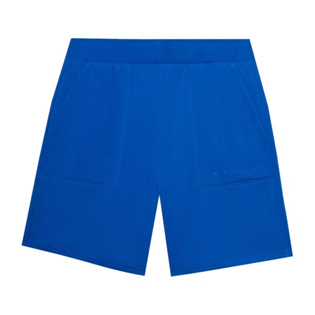 4F Pantaloni sport  albastru cobalt