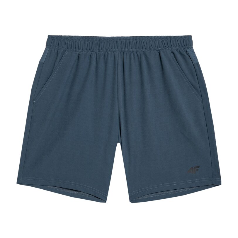 4F Pantaloni sport  albastru / negru