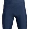 4F Pantaloni sport  bleumarin