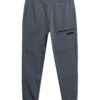 4F Pantaloni sport  gri