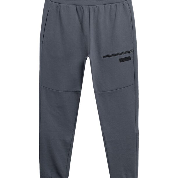 4F Pantaloni sport  gri