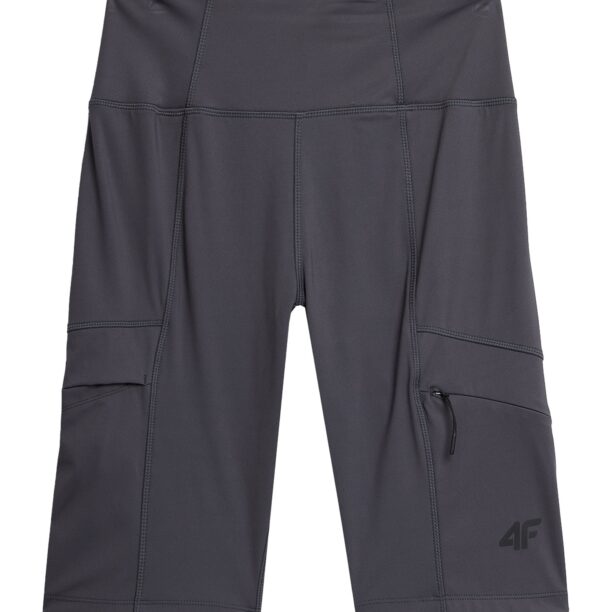 4F Pantaloni sport  gri închis / negru