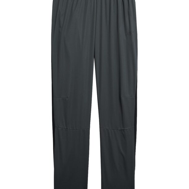 4F Pantaloni sport  gri metalic / verde