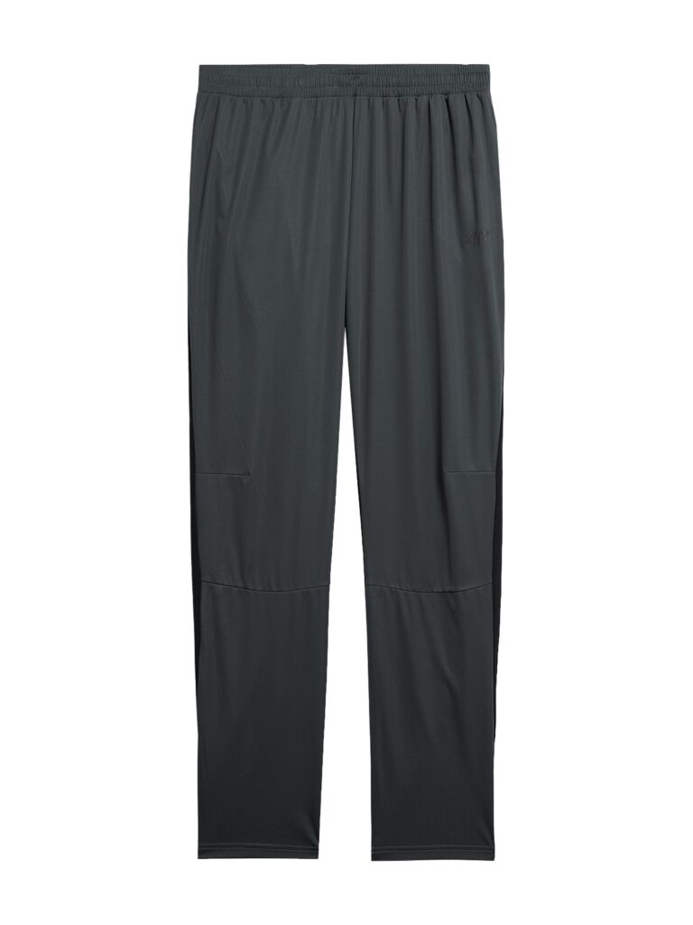 4F Pantaloni sport  gri metalic / verde