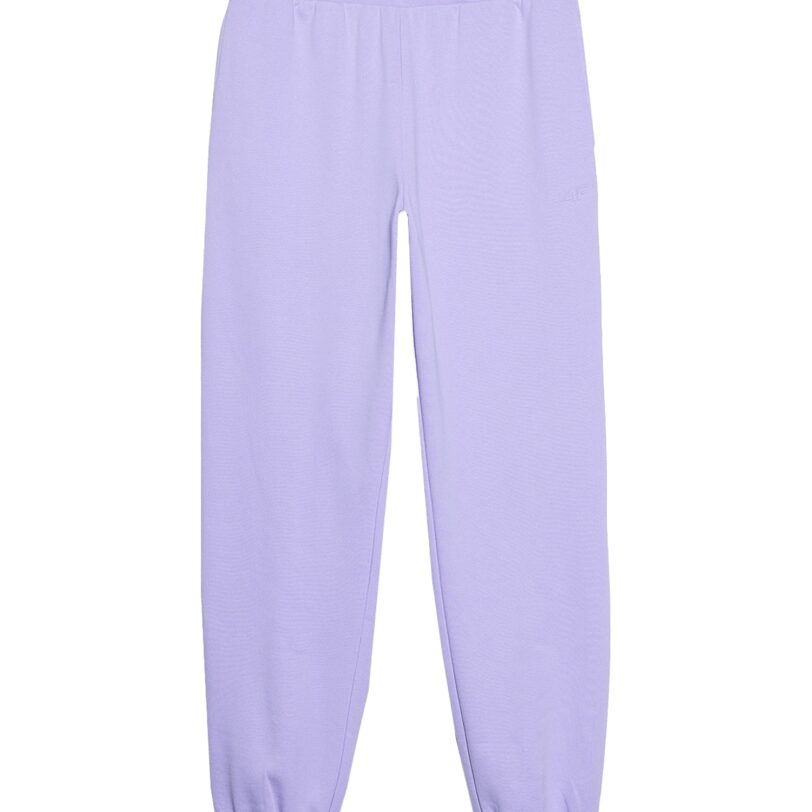 4F Pantaloni sport  lila