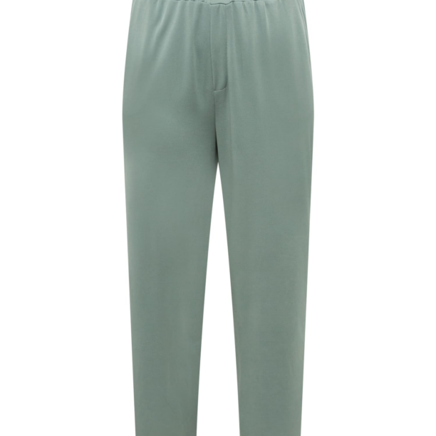 ABOUT YOU Curvy Pantaloni 'Hege'  verde mentă