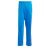 ADIDAS ORIGINALS Pantaloni 'Adicolor Classics Firebird'  albastru deschis / alb murdar