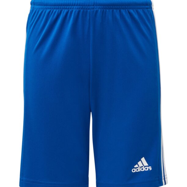 ADIDAS PERFORMANCE Pantaloni sport 'Squadra 21'  albastru / alb