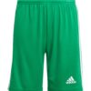 ADIDAS PERFORMANCE Pantaloni sport 'Squadra 21'  verde / alb