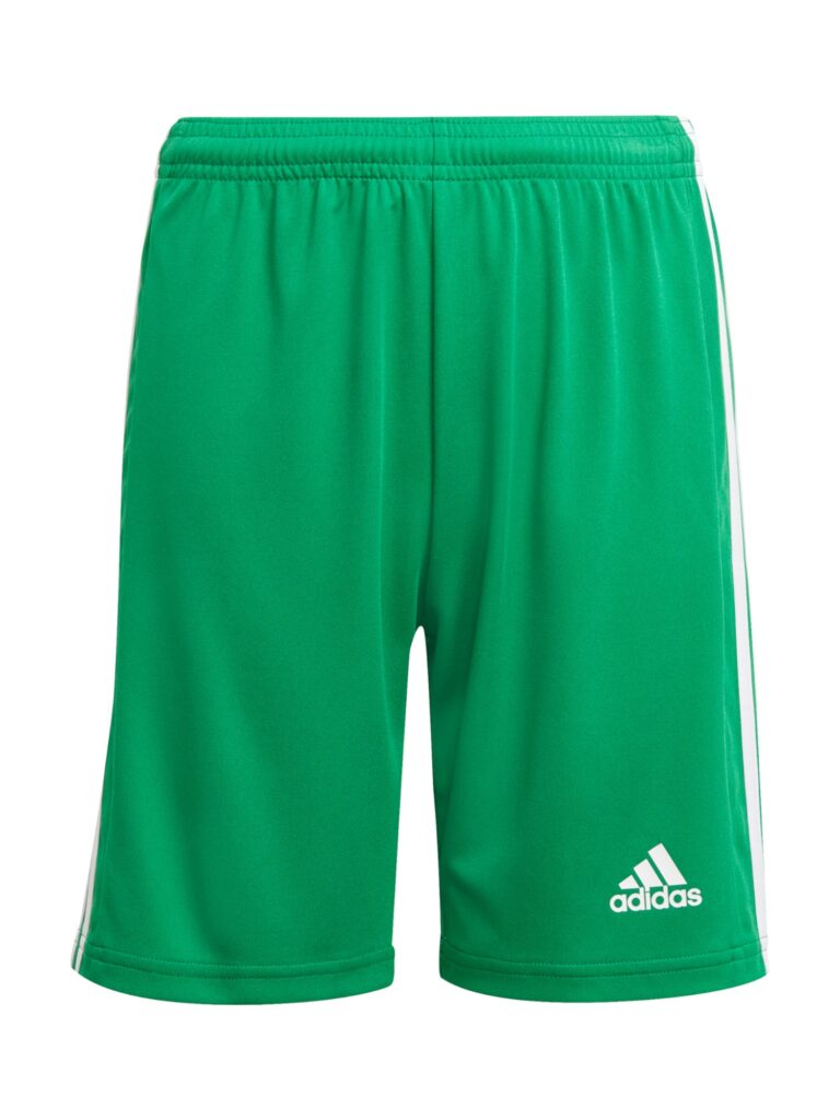 ADIDAS PERFORMANCE Pantaloni sport 'Squadra 21'  verde / alb