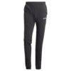 ADIDAS TERREX Pantaloni sport 'Terrex Xperior Light'  negru / alb