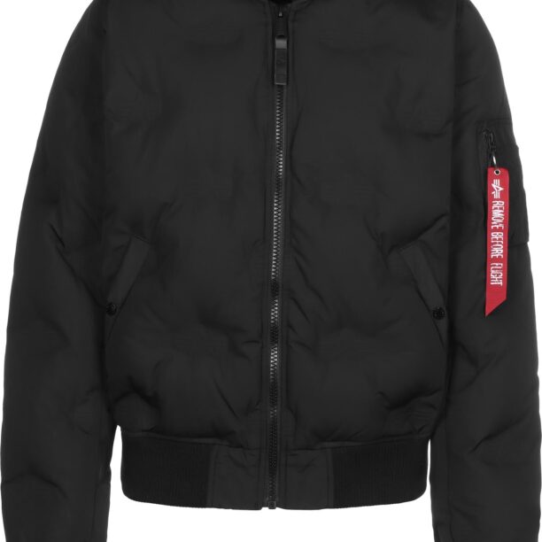 ALPHA INDUSTRIES Geacă de primăvară-toamnă  negru