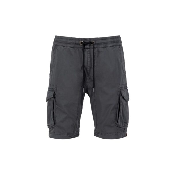 ALPHA INDUSTRIES Pantaloni cu buzunare  gri grafit