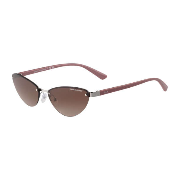 ARMANI EXCHANGE Ochelari de soare '0AX2049S'  maro / argintiu