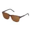 ARNETTE Ochelari de soare '0AN4291'  maro / negru