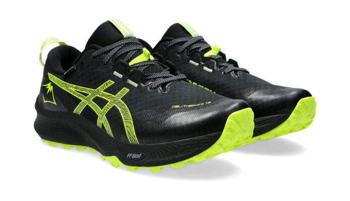 Preţ Asics GEL-Trabuco 12 GTX