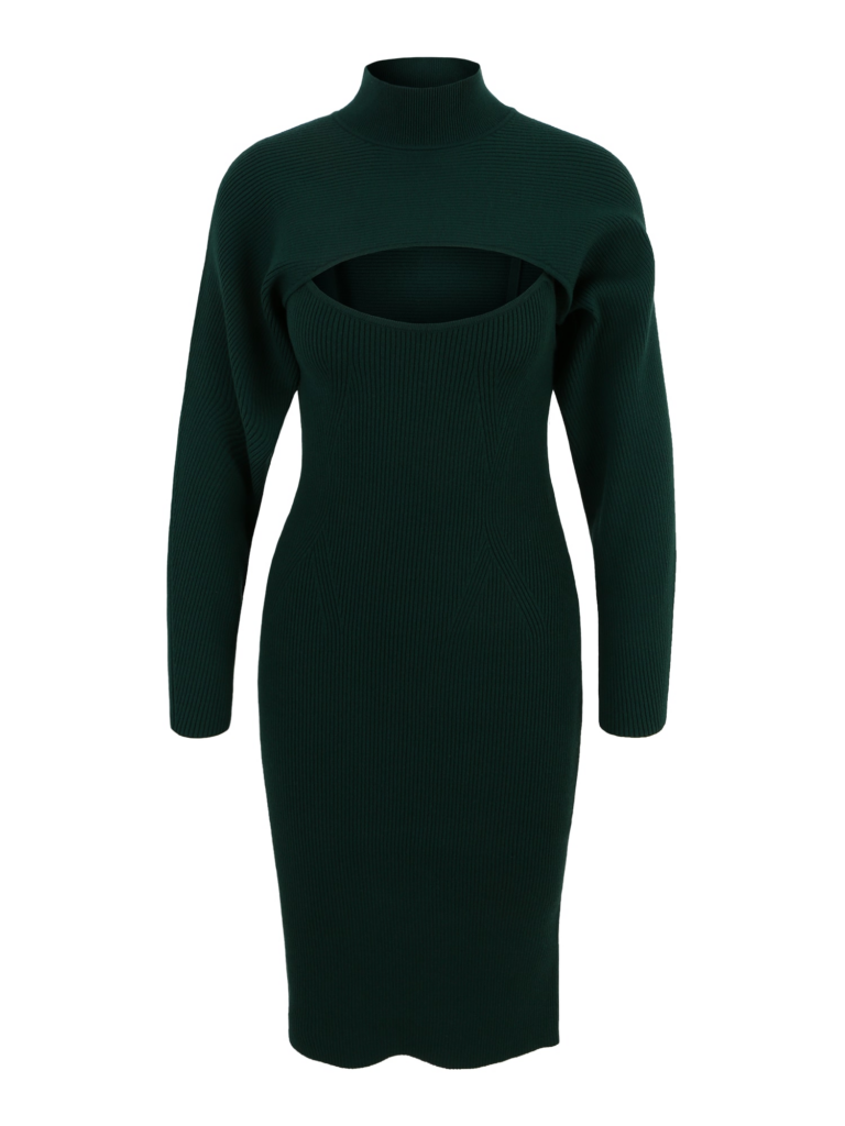 Banana Republic Petite Rochie tricotat 'SERENE'  verde închis