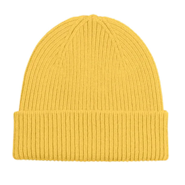 Colorful Standard Merino Wool Beanie