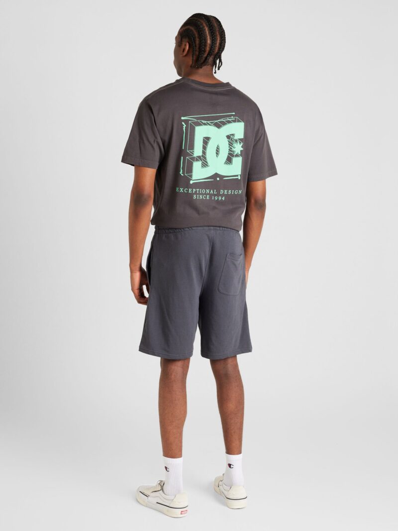 DC Shoes Pantaloni 'HIGHLAND'  gri închis / negru preţ