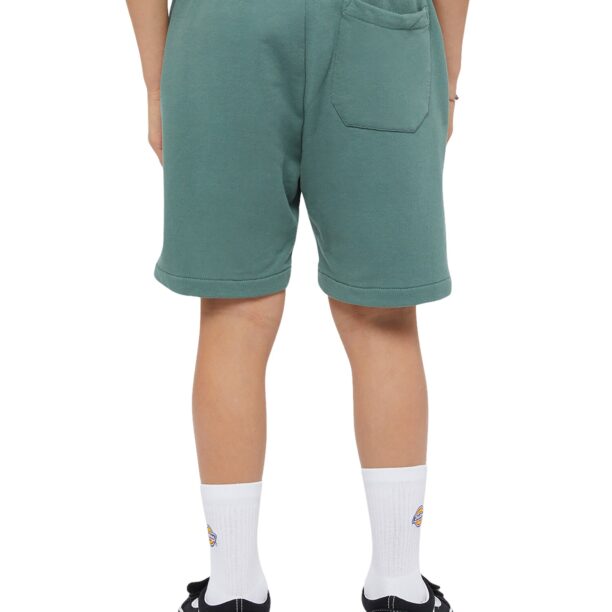 Cumpăra DICKIES Pantaloni 'Youth Mapleton'  verde închis