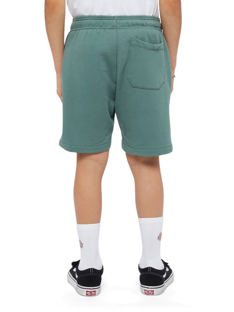 Cumpăra DICKIES Pantaloni 'Youth Mapleton'  verde închis