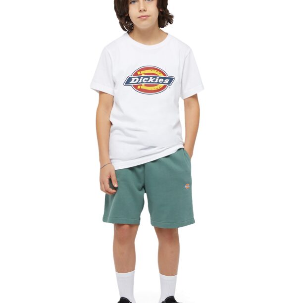 Preţ DICKIES Pantaloni 'Youth Mapleton'  verde închis