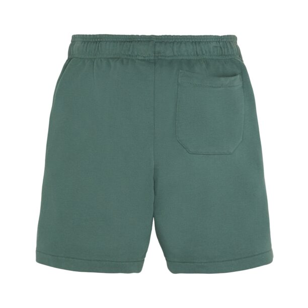 DICKIES Pantaloni 'Youth Mapleton'  verde închis