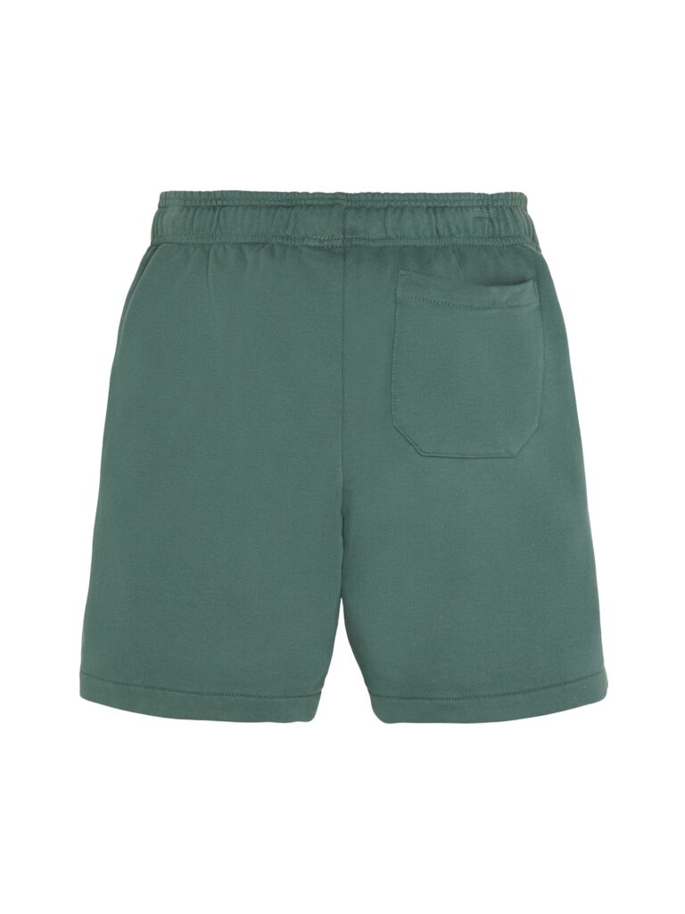 DICKIES Pantaloni 'Youth Mapleton'  verde închis