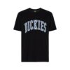 DICKIES Tricou 'AITKIN'  albastru / negru / alb