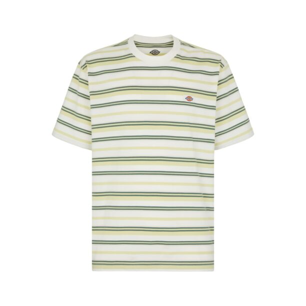 DICKIES Tricou 'GLADE SPRING'  albastru / galben / verde / roșu / alb