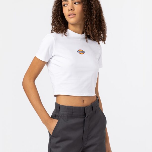 DICKIES Tricou 'MAPLE VALLEY'  albastru închis / galben / roșu / alb