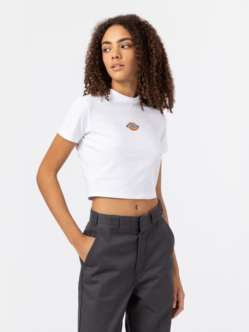 DICKIES Tricou 'MAPLE VALLEY'  albastru închis / galben / roșu / alb