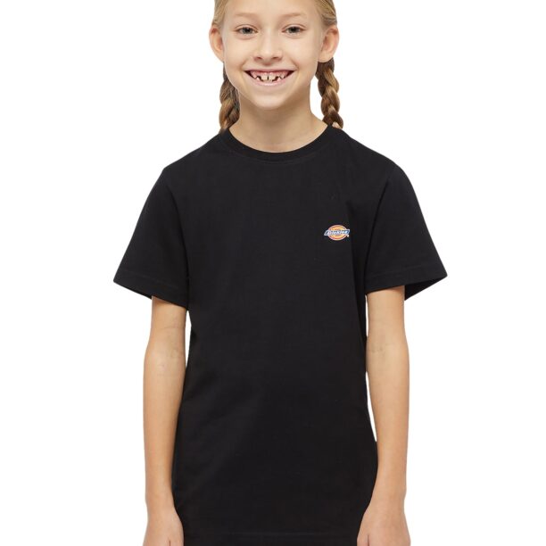 DICKIES Tricou 'Mapleton'  albastru / portocaliu / roșu / negru preţ