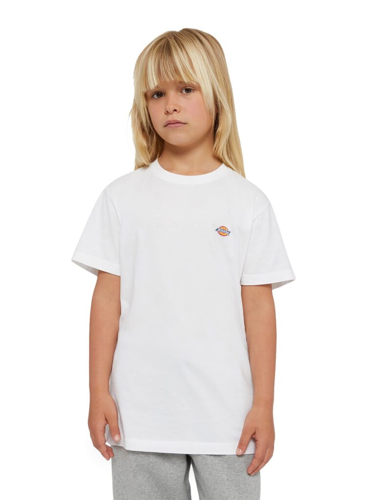 DICKIES Tricou 'YOUTH MAPLETON '  negru / alb preţ