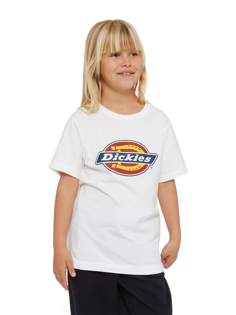 DICKIES Tricou  albastru / portocaliu / roșu / alb preţ