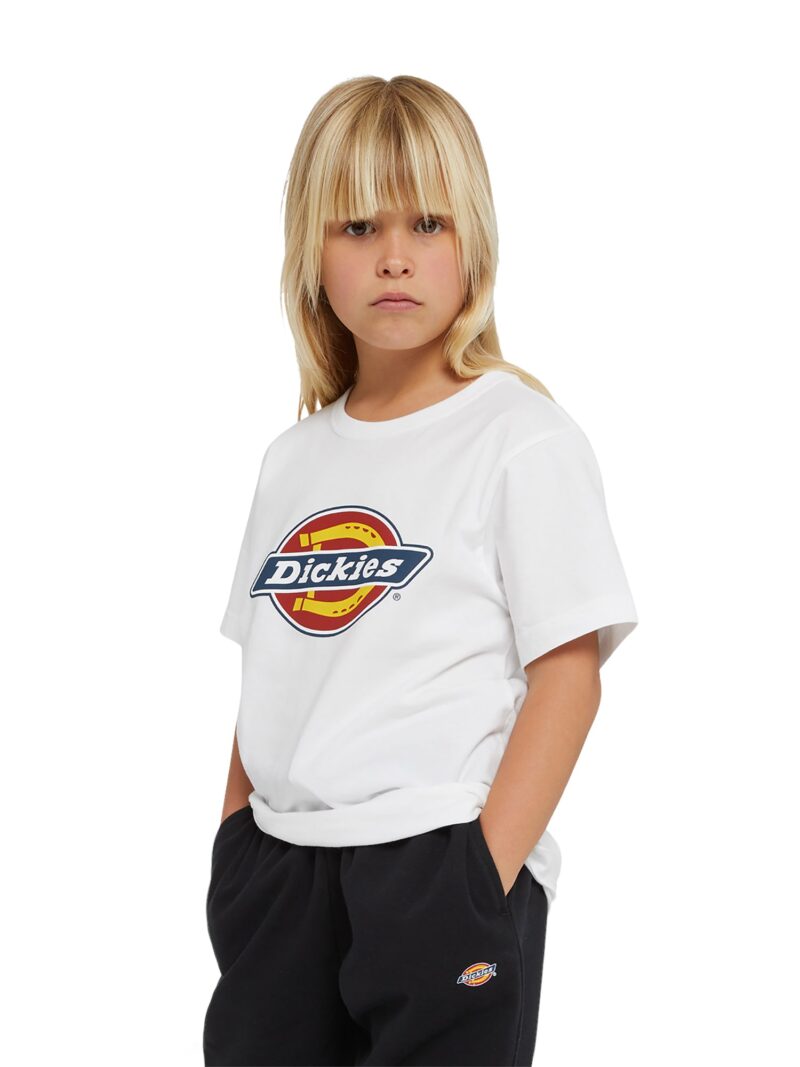 Preţ DICKIES Tricou  albastru / portocaliu / roșu / alb