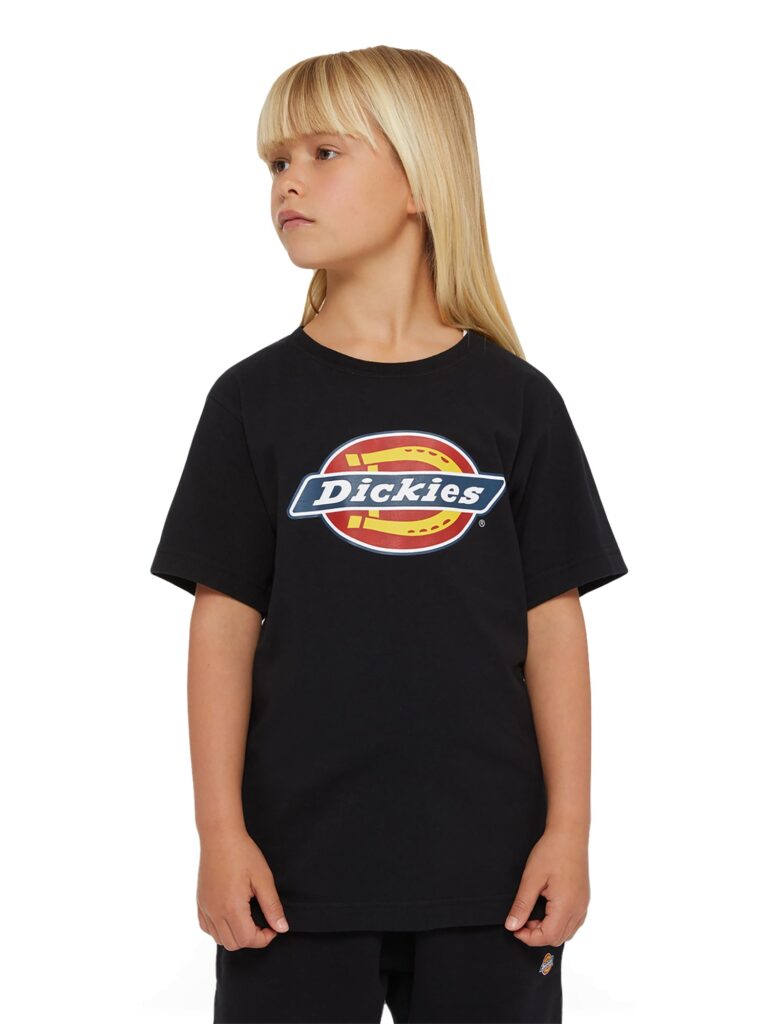 DICKIES Tricou  albastru / portocaliu / roșu / negru preţ