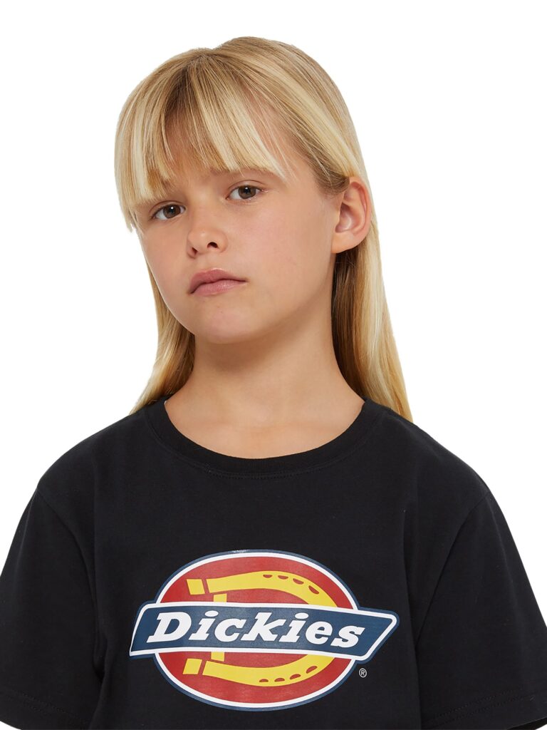 Original DICKIES Tricou  albastru / portocaliu / roșu / negru