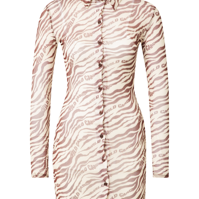 Daisy Street Rochie tip bluză  bej / maro