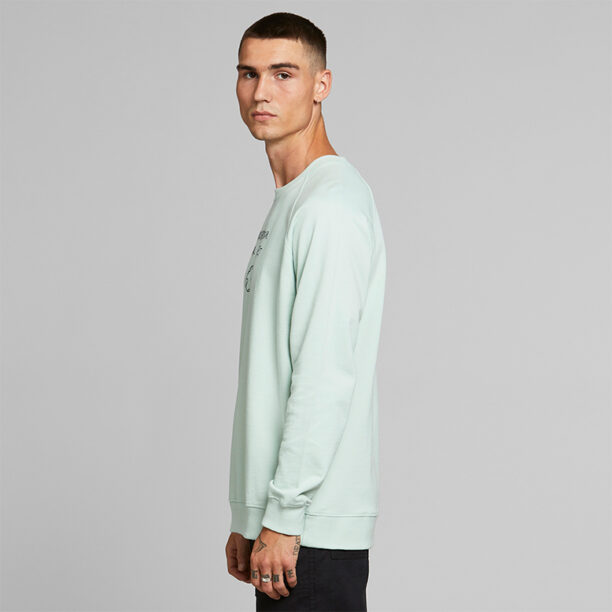 Cumpăra Dedicated Sweatshirt Malmoe Local Planet Mint