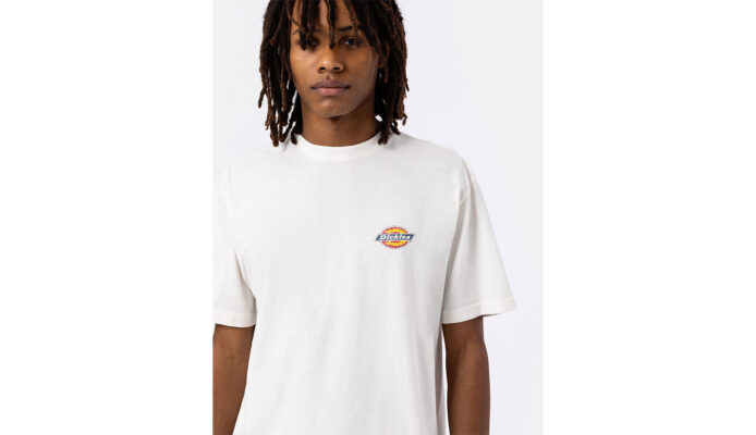 Cumpăra Dickies Icon Washed Tee SS