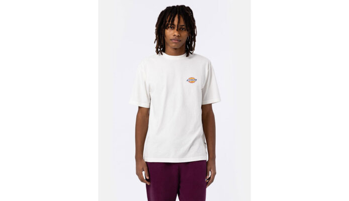 Preţ Dickies Icon Washed Tee SS