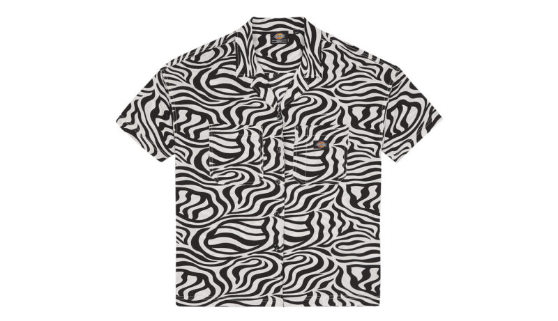 Cumpăra Dickies Leesburg Shirt W Cloud Zebra