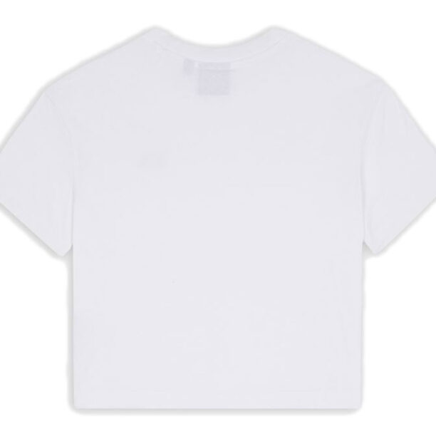 Dickies Oakport Cropped T-Shirt W preţ