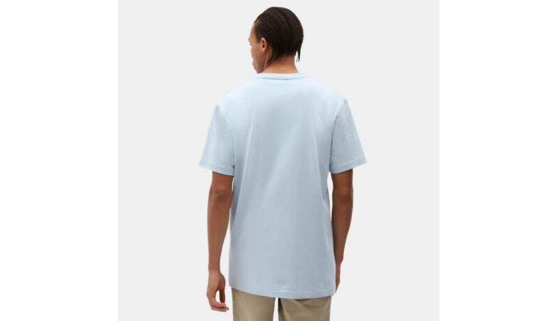 Cumpăra Dickies Porterdale Tee Fog Blue