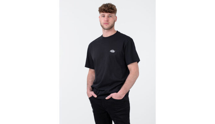 Dickies Summerdale T-Shirt Black preţ