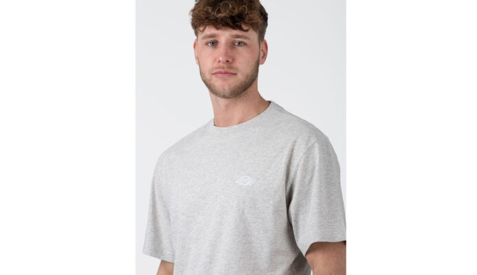 Dickies Summerdale T-Shirt Grey preţ