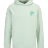 FILA Bluză de molton 'Baar'  verde jad / verde pastel