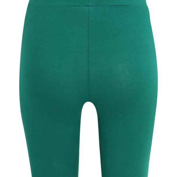 Cumpăra FILA Leggings  verde / sângeriu / alb